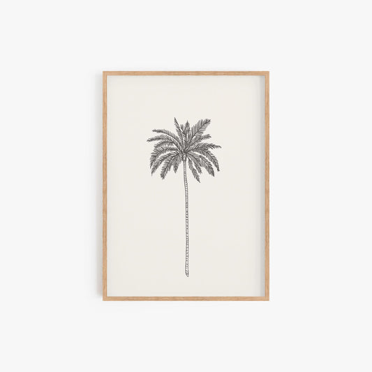 Charcoal Solo Palm Tree Print