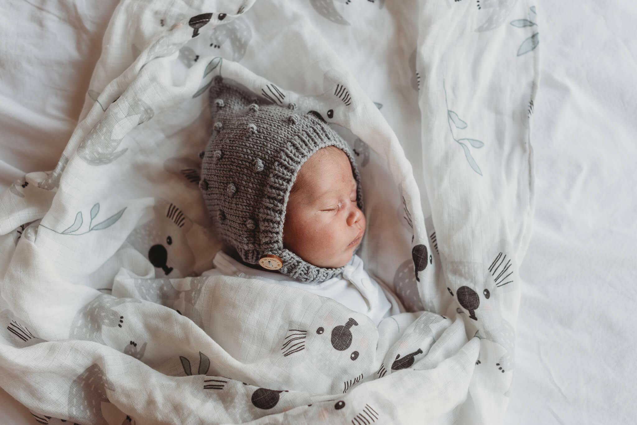 koala baby swaddle blanket